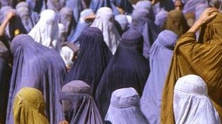 اعلامیۀ مشترک شبکۀ زنان افغان و شبکۀ شبکۀ جامعۀ مدنی و حقوق بشر افغانستان به مناسبت هشتم مارچ، روز همبستگی جهانی زنان 