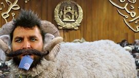 مجلــس نمــاینــدگان و گــوســفندان امــرخــیل