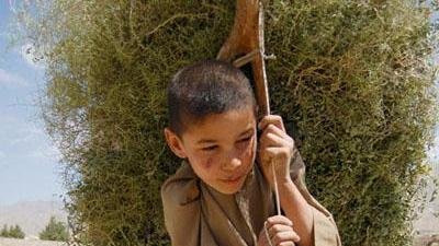 کودکی در کاپیسا!