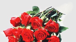بیایید در مقدم بهار عهدی بهاری ببندیم