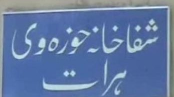 بيماری از حیوان به انسان!