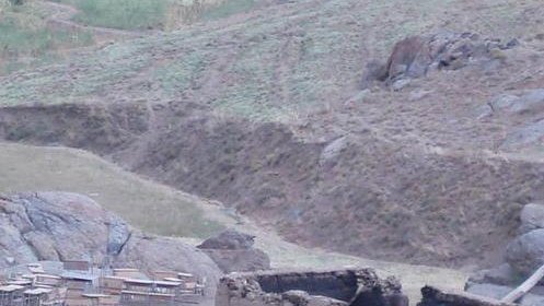 در سوگ بهسود و دایمرداد و در جستجوی بهروزی برای کوچی ها