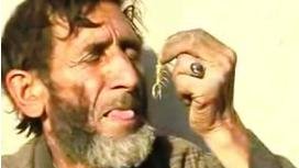 زندگی با کژدم