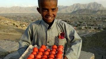 يو هلک جوش شوی هگی خرڅوی