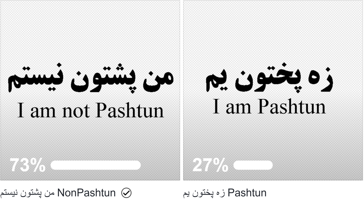 آيا پشتون ها اکثریت هستند یا این دروغی بیش نیست؟