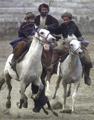 کشتی همپای بزکشی
