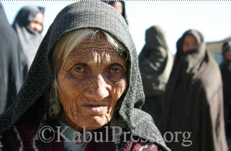 امسال كوچی گری در ولایت دايكندی غايله آفريد!