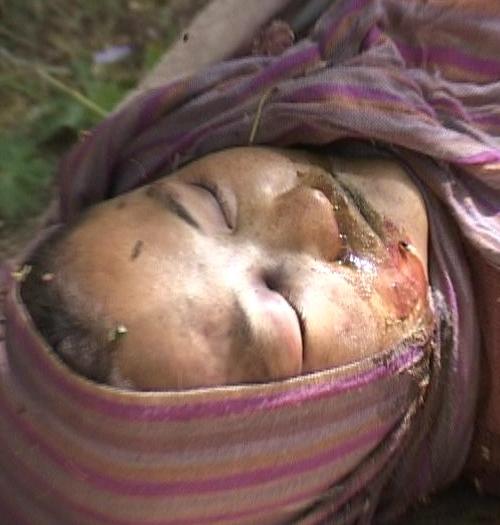 هشدار استاد دانشگاه استرالیا: هزاره ها در خطر نابودی قرار دارند